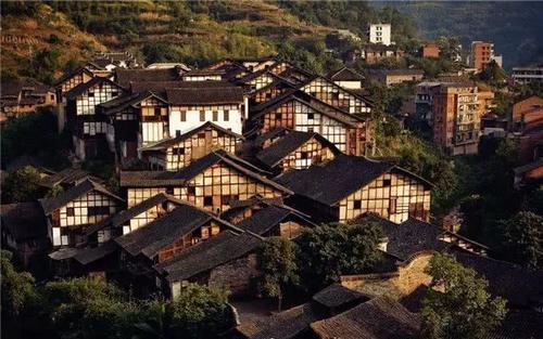 瑞德的冒险之旅中文版